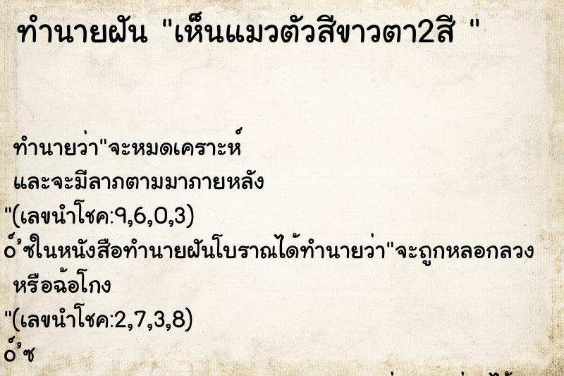 ทำนายฝันทำนายฝันเห็นแมวตัวสีขาวตา2สี